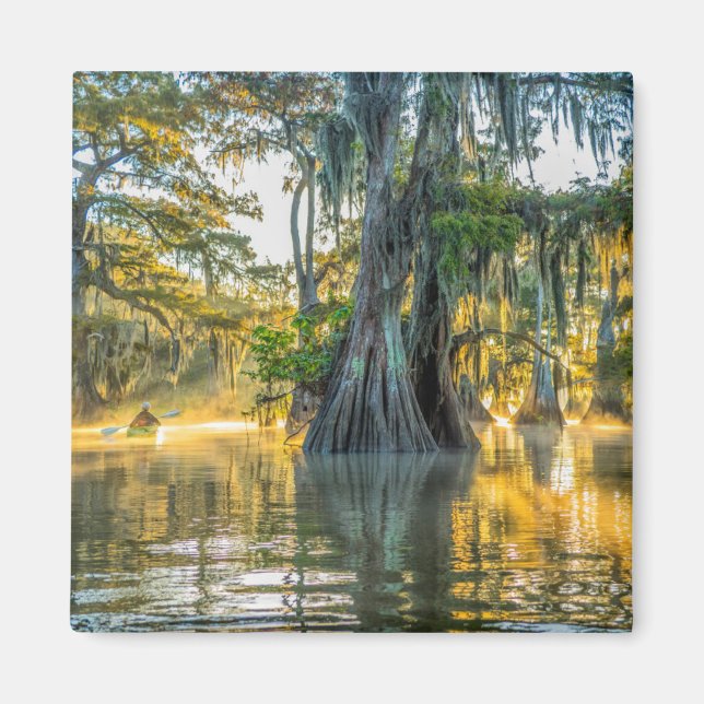 Íman Parque Estadual Lake Fausse Pointe (Frente)