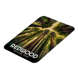 Íman Parque Estadual Nacional Redwood, Califórnia Coste