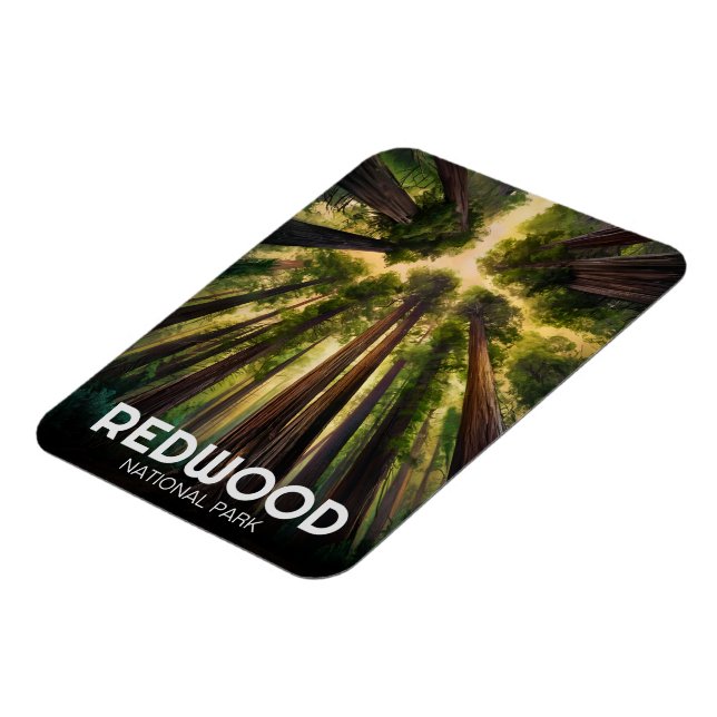 Íman Parque Estadual Nacional Redwood, Califórnia Coste (Left Side)