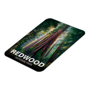 Íman Parque Estadual Nacional Redwood, Califórnia Coste
