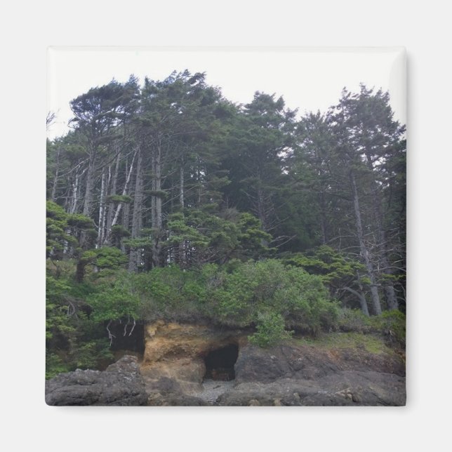 Íman Parque Estadual Netuno, OR (Frente)