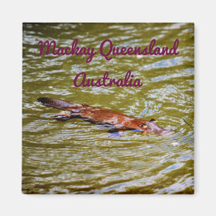 ÍMAN PARQUE NACIONAL AUSTRÁLIA DE PLATYPUS EUNGELLA