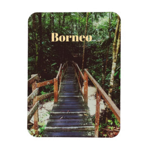 Íman Parque Nacional Bako - Borneu