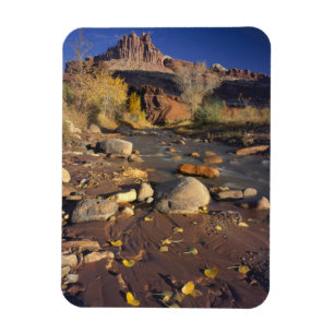 Íman PARQUE NACIONAL CAPITOL REEF, UT, EUA, Cottonwood