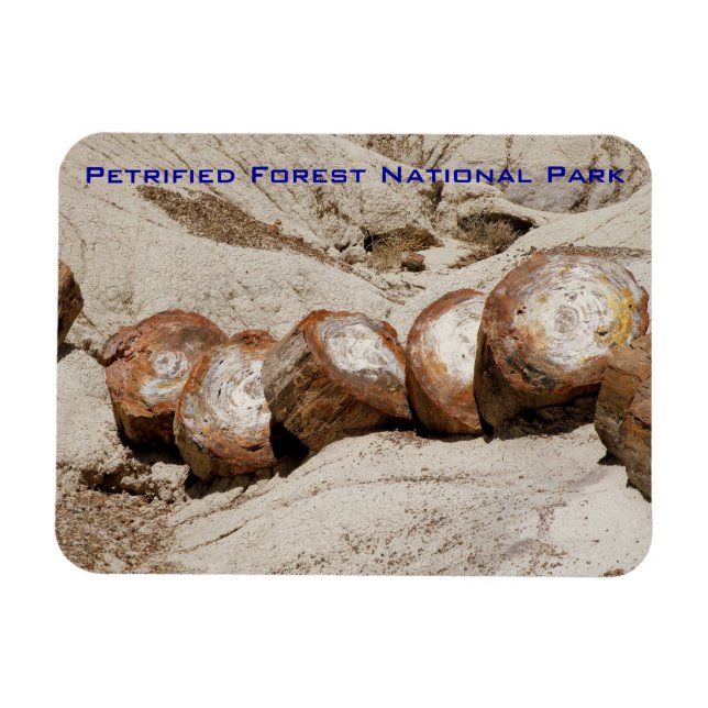 Íman Parque Nacional da Floresta Petrificada (Horizontal)
