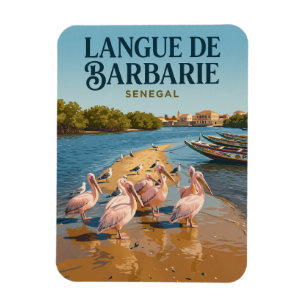 Íman Parque Nacional da Langue de Barbarie Senegal