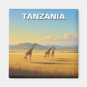 Íman Parque Nacional da Tanzânia Serengeti Girafas