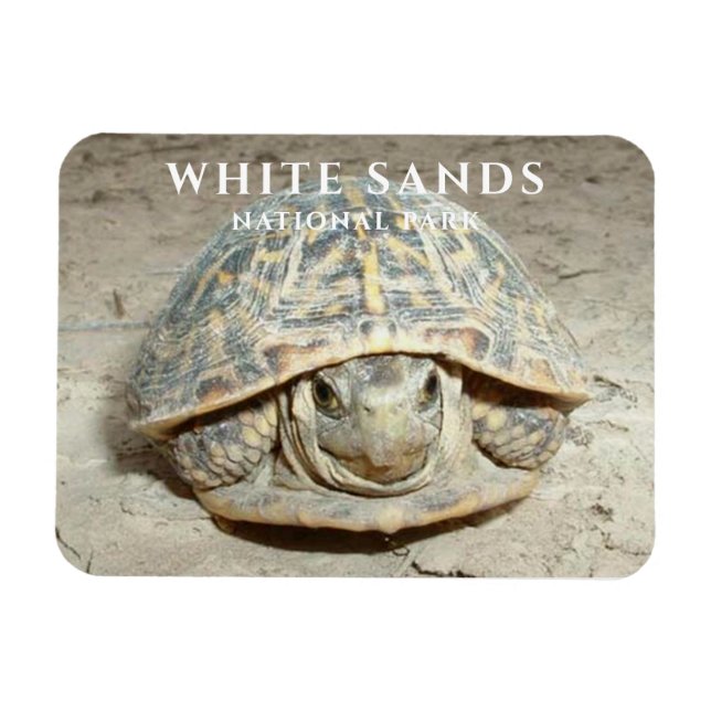 Íman Parque Nacional da Turtle White Box (Horizontal)