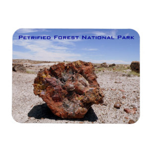 Íman Parque nacional de floresta Petrified