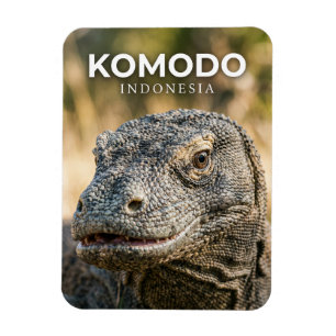 Íman Parque Nacional de Komodo Indonésia