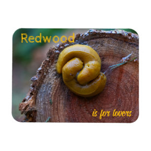 Íman Parque Nacional de Redwood Banana Slug Pair