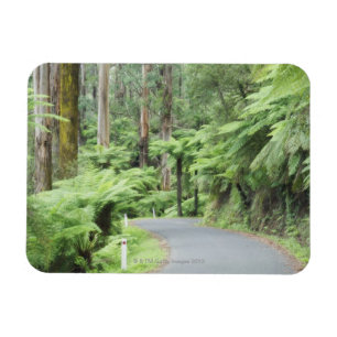 Íman Parque nacional de Tarra Bulga, escalas de