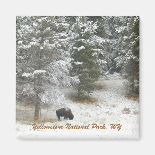 Íman Parque nacional de Yellowstone, WY