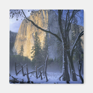 Íman PARQUE NACIONAL DE YOSEMITE, CALIFÓRNIA. EUA. Luz