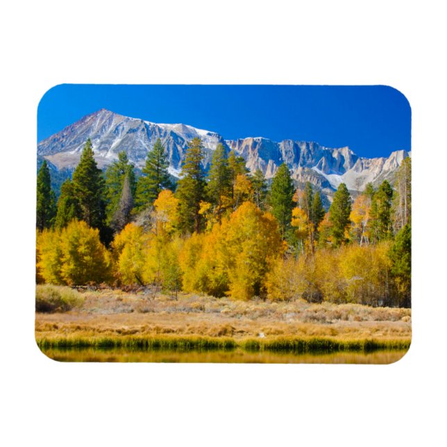 Íman Parque Nacional de Yosemite Tioga Pass (Horizontal)