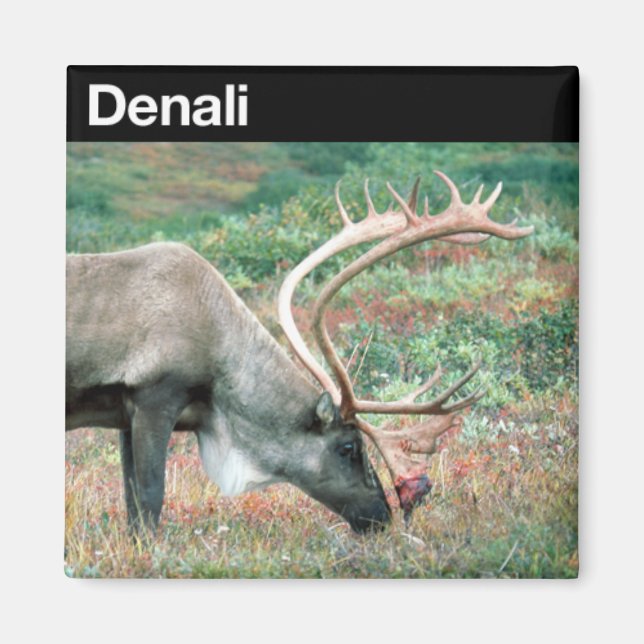 Íman Parque Nacional Denali (Frente)