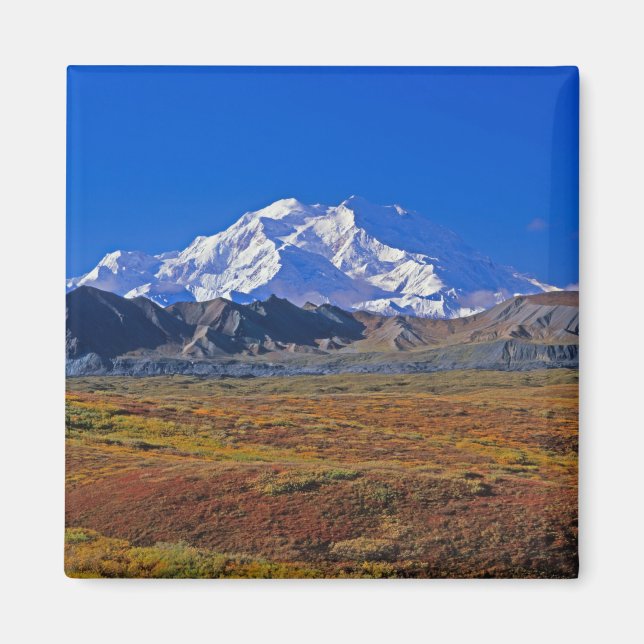 Íman Parque Nacional Denali Mt. McKinley, Alasca. (Frente)