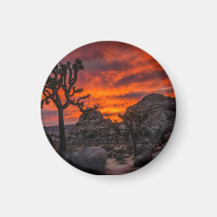 Íman Parque Nacional do Joshua Tree Red Sunset