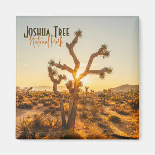 Íman Parque Nacional do Joshua Tree Souvenir Gift Magne