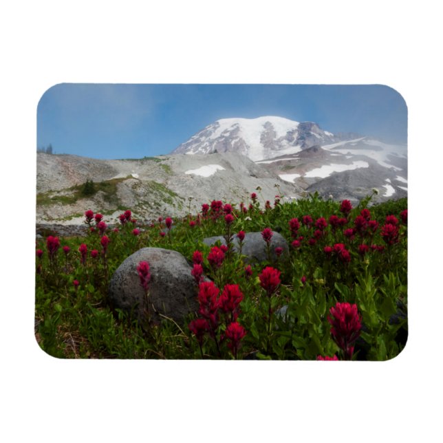 Íman Parque Nacional do Monte Rainier, Monte Rainier 1 (Horizontal)