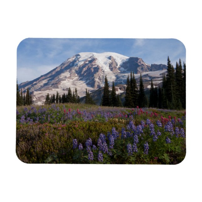 Íman Parque Nacional do Monte Rainier, Monte Rainier 3 (Horizontal)