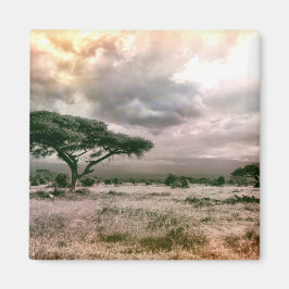 Íman Parque Nacional do Sahara Serengeti Savannah Afric