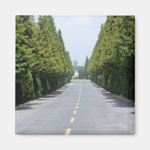 Íman Parque nacional dos EUA, Yellowstone, estrada