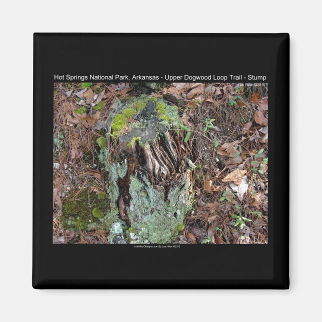 Íman Parque Nacional dos Primaveras Quentes, AR Upper D (Frente)