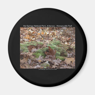 Íman Parque Nacional dos Quentes-Primaveras, AR - Trilh