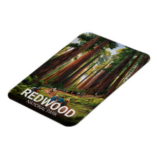 Íman Parque nacional estadual Redwood, Califórnia Coste
