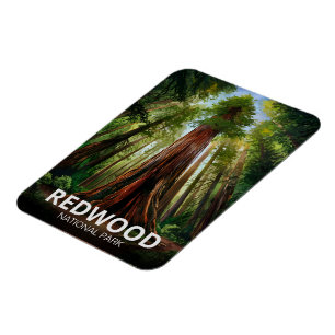 Íman Parque nacional estadual Redwood, Califórnia Coste