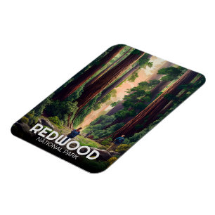 Íman Parque nacional estadual Redwood, Califórnia Coste