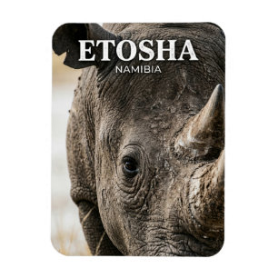 Íman Parque Nacional Etosha Namíbia