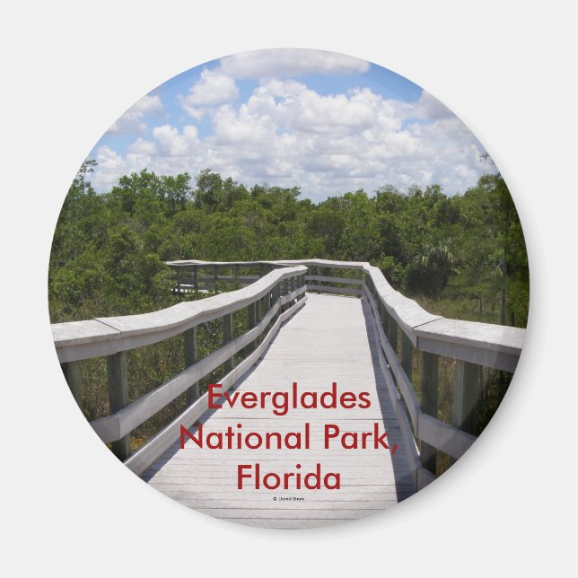 Íman Parque Nacional Everglades, Flórida (Frente)