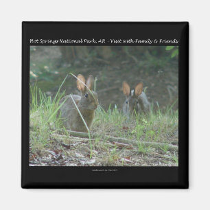 Íman Parque Nacional Hot Springs, AR Presentes Coelhos
