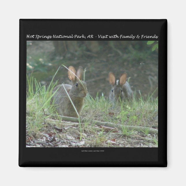 Íman Parque Nacional Hot Springs, AR Presentes Coelhos  (Frente)