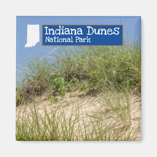 Íman Parque Nacional Indiana Dunes