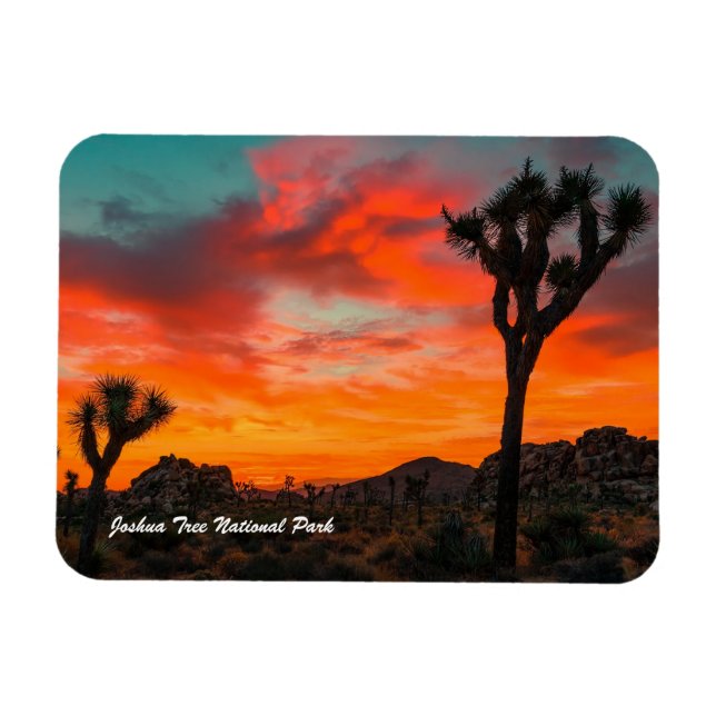 Íman Parque Nacional Joshua Tree (Horizontal)