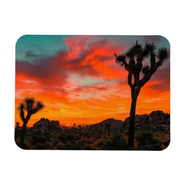 Íman Parque Nacional Joshua Tree (Horizontal)