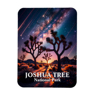 Íman Parque Nacional Joshua Tree Céu Noturno Via Láctea