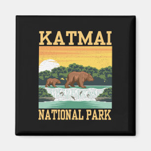 Íman Parque Nacional Katmai Alasca Urso Caminhada Ao Ar