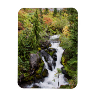 Íman Parque Nacional Mount Rainier, riacho de outono