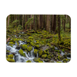 Íman Parque Nacional Olímpico, Estado de Washington