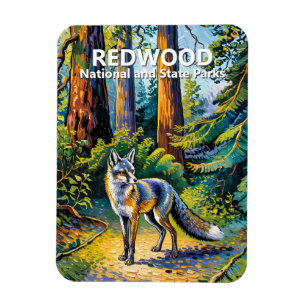 Íman Parque Nacional Redwood Van Gogh Floresta Raposa P