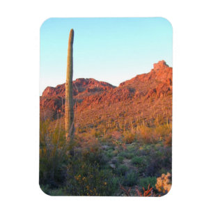 Íman Parque nacional Saguaro