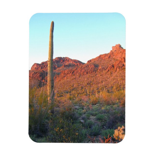 Íman Parque nacional Saguaro (Vertical)