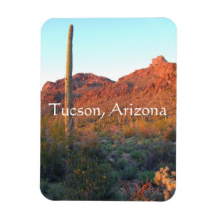 Íman Parque nacional Saguaro, Arizona de Tucson