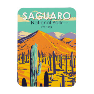 Íman Parque Nacional Saguaro Cactos Em Primavera Vintag