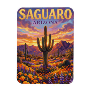 Íman Parque Nacional Saguaro EUA
