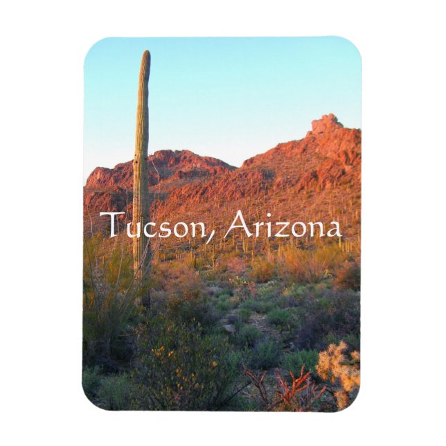 Íman Parque nacional Saguaro, Tucson Arizona (Vertical)